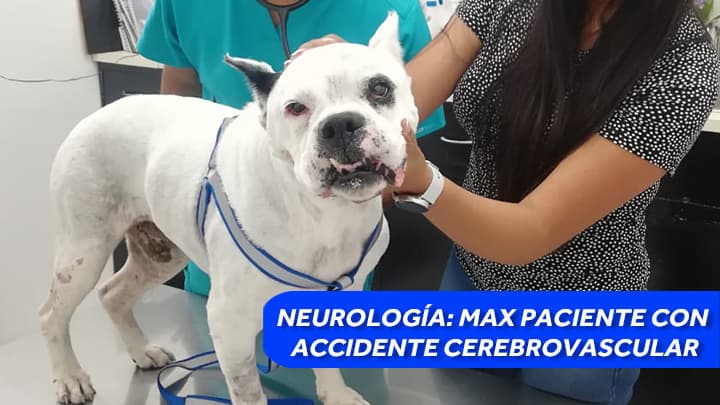 Max: paciente con Accidente Cerebrovascular