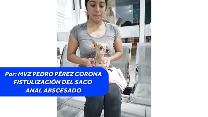 Fistulización del saco anal abscesado: Caso Matilda