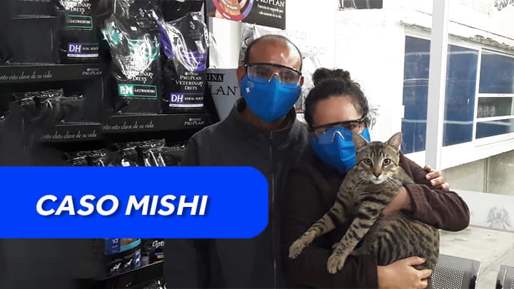 La importancia de no dar huesos a tus mascotas