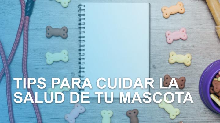 Tips para cuidar la salud de tu mascota